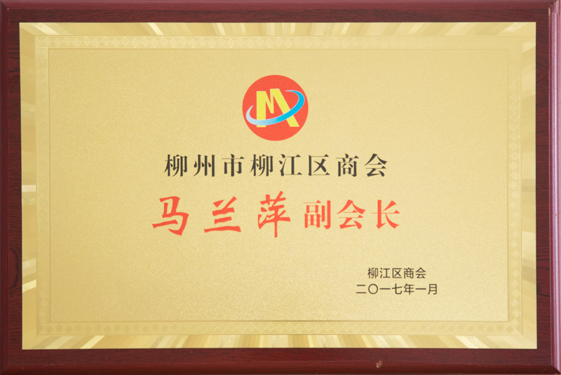 柳州麻豆视频高清无码